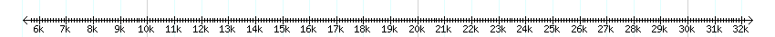__scale__ detail