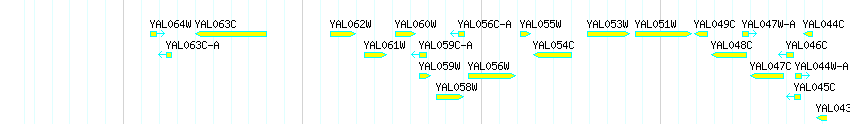 Genes detail
