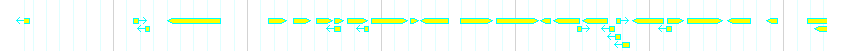 Genes detail
