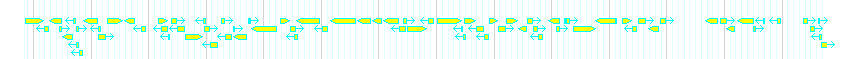 Genes detail