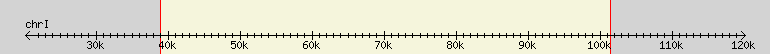 __scale__ region