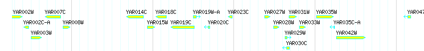 Genes detail