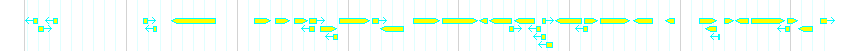 Genes detail