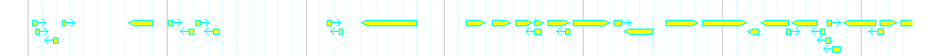 Genes detail