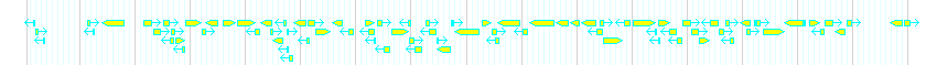 Genes detail