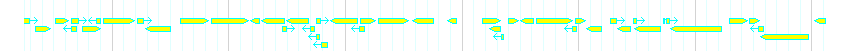 Genes detail
