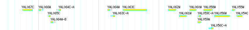 Genes detail