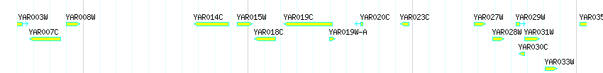 Genes detail