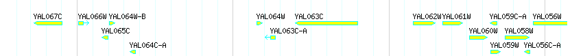 Genes detail
