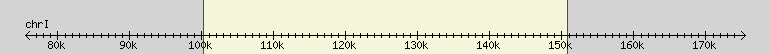 __scale__ region