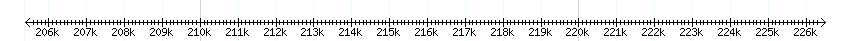 __scale__ detail