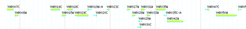 Genes detail
