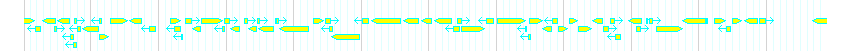 Genes detail