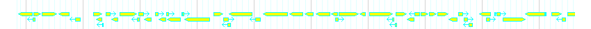 Genes detail