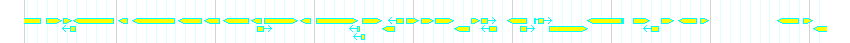 Genes detail