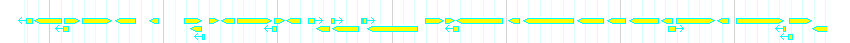Genes detail