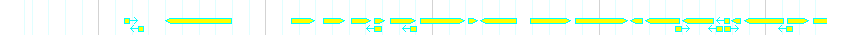 Genes detail