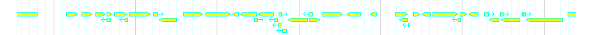 Genes detail