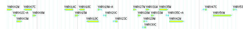 Genes detail