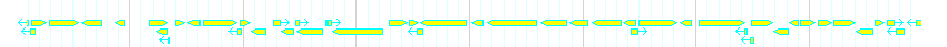 Genes detail