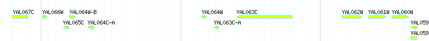 Genes detail
