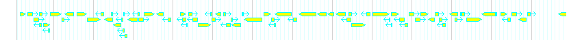 Genes detail