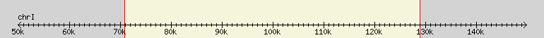 __scale__ region