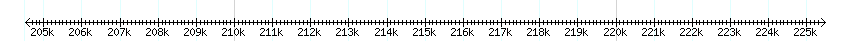 __scale__ detail
