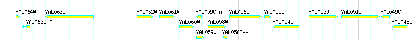 Genes detail