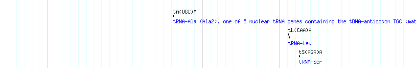 tRNAs detail