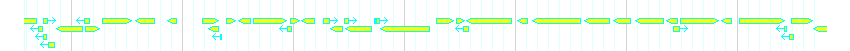Genes detail