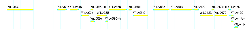Genes detail