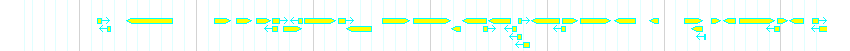 Genes detail