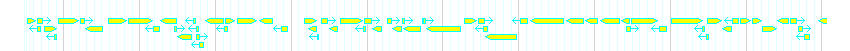 Genes detail