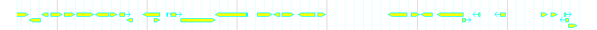 Genes detail
