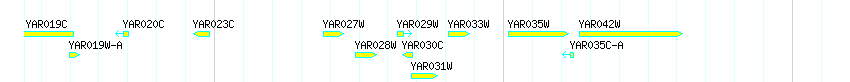 Genes detail