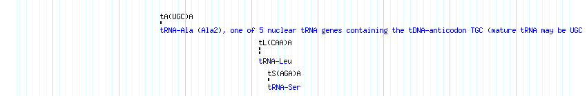 tRNAs detail