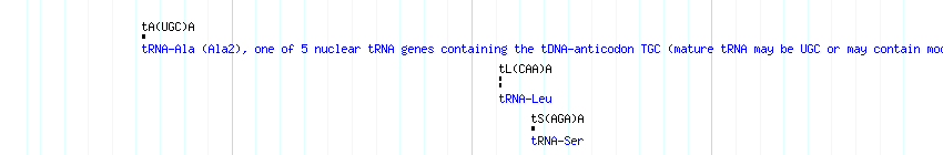 tRNAs detail