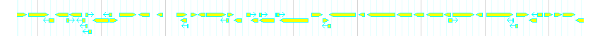 Genes detail