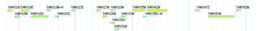 Genes detail