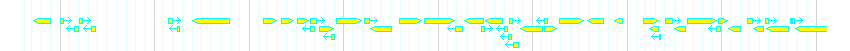 Genes detail