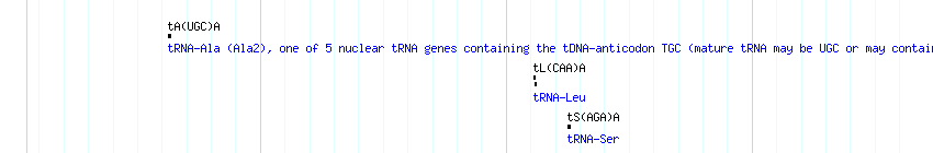 tRNAs detail