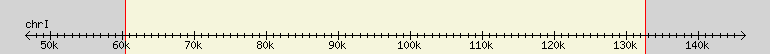 __scale__ region
