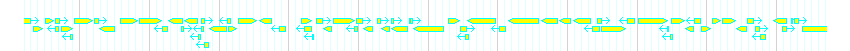 Genes detail