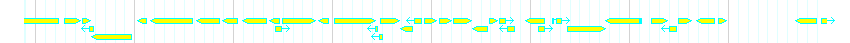Genes detail