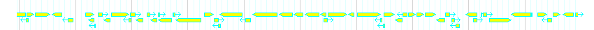 Genes detail