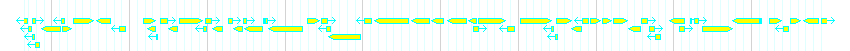 Genes detail