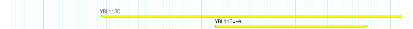 Genes detail