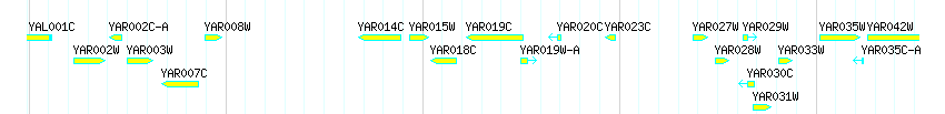 Genes detail