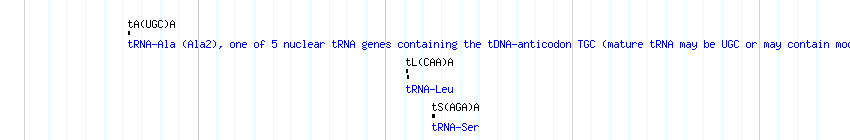 tRNAs detail